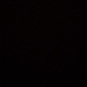 Meet your Posher, Zoey